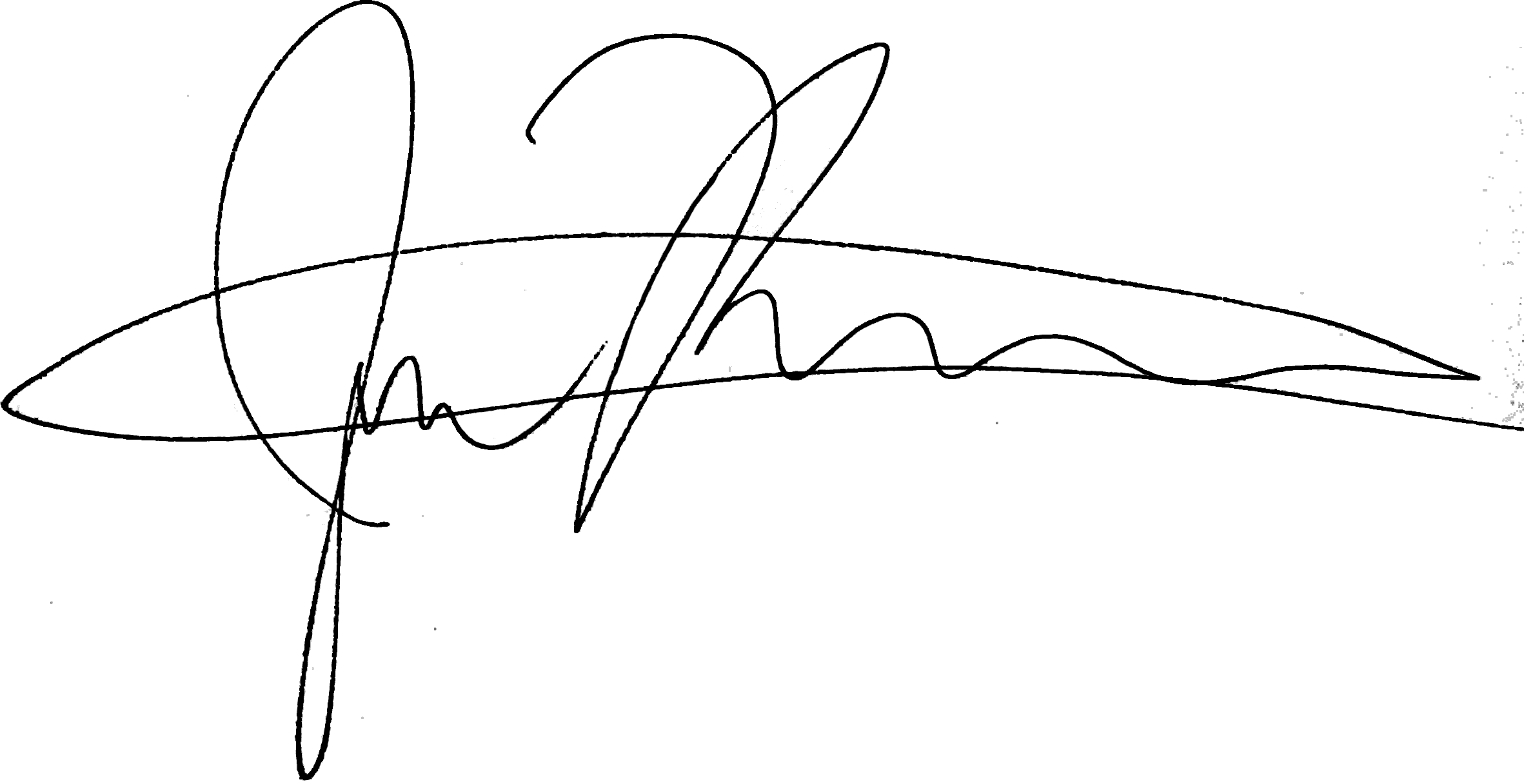 CEO Signature
